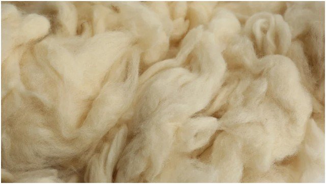 How do I card wool using hand carders step by step?