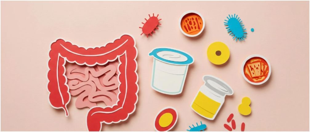 gut health diet plan for beginners