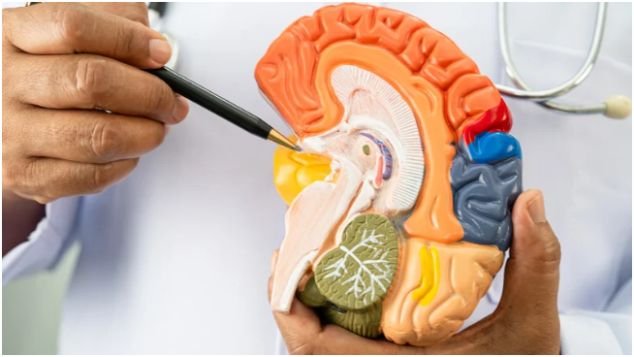 How Can I Incorporate These Dietary Patterns Into My Routine?